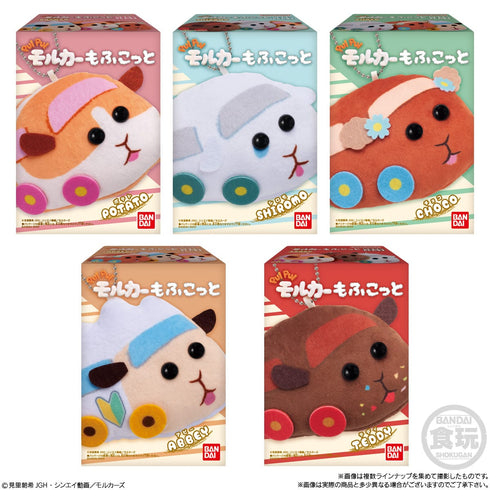 『PUI PUI モルカー』もふこっと BOX